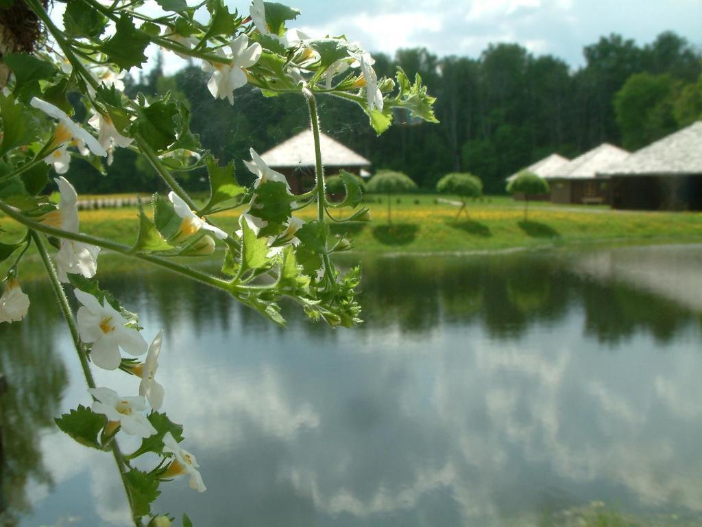 Recreation Center Bruveri Sigulda Chambre photo